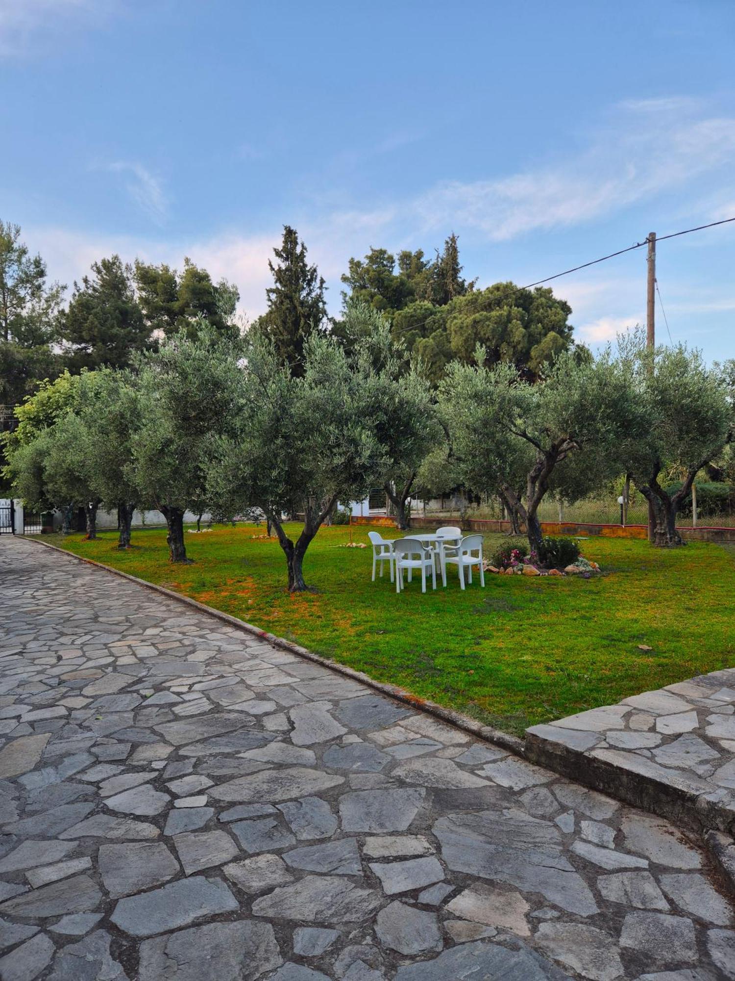 Geovilla Green & Blue 1 - Pefkochori Bagian luar foto